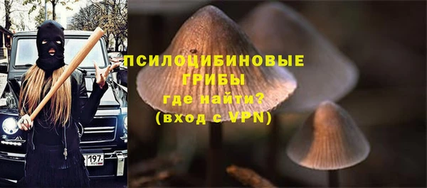 тгк Алзамай