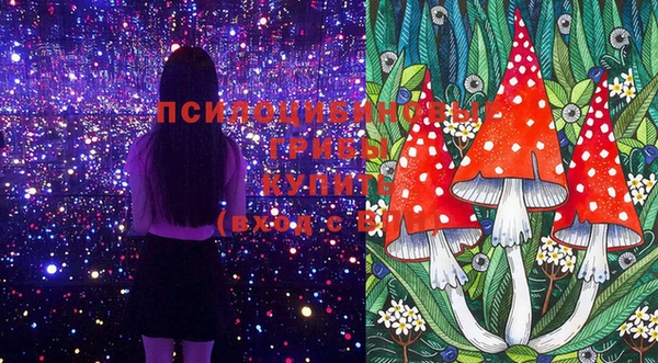 стафф Слюдянка