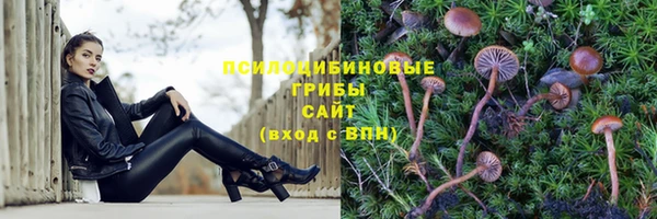 спиды Алексеевка