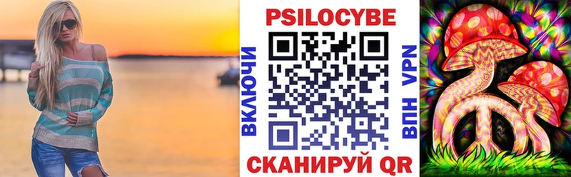 Псилоцибиновые грибы Psilocybe  Любань 
